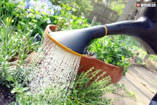 Bangalore guy uses Desi Techniques to purify wastewater