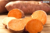 benefits, sweet potato, amazing benefits of sweet potatoes for skin and health, Lifestyle