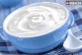 tips, remedies, benefits of yogurt, Remedies