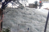 Bellandur Lake latest, Bellandur Lake pollution, bengaluru s bellandur lake spills toxic foam again, Toxic