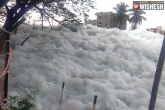 Bellandur Lake updates, Bellandur Lake pollution, bengaluru s bellandur lake spills toxic foam again, Bellandur lake