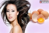 egg mask for dry skin, how to tighten skin, best skin treatments with egg, Oily skin