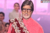 Amitabh Bachchan new movie, Amitabh Bachchan, big b to feature in ranbir s dragon, Dragon