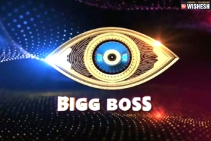 Bigg Boss 5 Telugu Latest Updates
