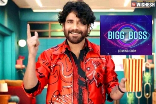 Bigg Boss Telugu Season 7 Contestants Locked