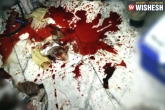Tamil Nadu, Bihar man, bihar man falls in pulp making machine dies, Bihar man