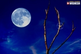 National Aeronautics and Space Administration, Lunar year, blue moon is not exactly blue, Us administration