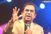Tollywood news, Brahmanandam about Akhil, is akhil failure my mistake brahmanandam, Dr brahmanandam