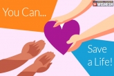 woman, organs, brain dead woman s organs donated saves 5 patients life, Brain