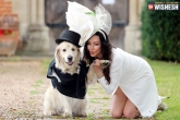 Elizabeth Hoad, Elizabeth Hoad, british woman marries her dog on a tv show, Logan