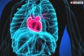 Takotsubo syndrome news, Takotsubo syndrome updates, heart failure in extreme cases of broken heart syndrome, Heart failure
