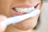 dementia, health, brushing your teeth can protect you from dementia and heart disease, Teeth