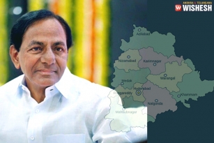 CM KCR Firm On Adding Three More Districts In Telangana