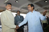 Andhra Telangana power sharing, AP CM Chandrababu Naidu, cms of telugu states to meet constantly, Sharing