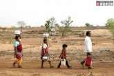 Maharashtra, Denganmal, after housewives india has now water wives, 39 wives