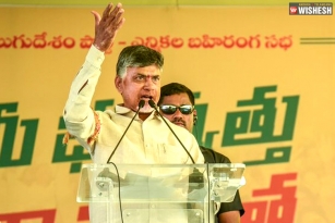 Chandra Babu Bringing Star Campaigners For Andhra Pradesh