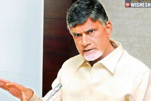 Chandra Babu&#039;s Delhi Deeksha To Cost Rs 2 Crores