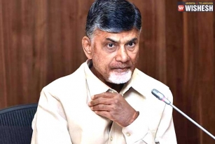 Chandra Babu Plans An Indefinite Fast?