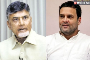 Delhi Politics: Chandra Babu and Rahul Gandhi to Meet Today