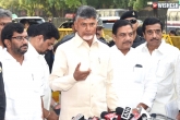 TDP, BJP, chandra babu responds on joining hands with trs, Joining hands
