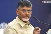 CBN, CBN, chandrababu naidu to pick out his candidates carefully, Carefull