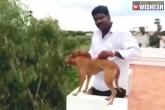 terrace, terrace, chennai medicos need to pay 2 lakhs each to awbi, Medical student