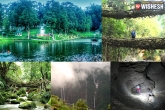 Tourist Attraction, Destination Travel, meghalaya s dew drop cherrapunjee, Attraction