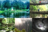 Meghalaya's Dew Drop, Meghalaya's Dew Drop, meghalaya s dew drop cherrapunjee, Destination travel