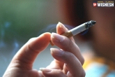 tobacco chewing, smokers, 6 25 lakh children smoking in india daily, Cigarette smoking