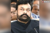 Chiranjeevi, Chiranjeevi news, three heroines for megastar, Pragya jai