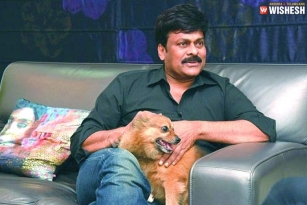 Chiranjeevi to remake that recent blockbuster!