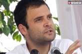 Rahul Gandhi news, Rahul Gandhi latest, congress and rahul focused on cpp leadership, Leadership