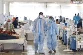 coronavirus new cases, coronavirus India news, indian coronavirus daily tally at 2 76 lakhs, Rs 4 lakhs