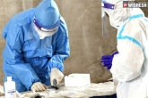 Coronavirus India tally, Coronavirus India daily tally, coronavirus india death toll crosses 80 000 mark, Death toll
