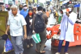 Coronavirus India, Coronavirus cases, coronavirus india death toll crosses 50 000 mark, Death toll