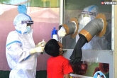 coronavirus India updates, Coronavirus, coronavirus indian daily tally falls below 20 000 mark, Fall