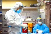 Coronavirus India tally, coronavirus India updates, coronavirus indian weekly tally falls down by 88 percent, Fall