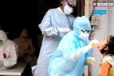 Coronavirus cases, coronavirus deaths, six indian states among the states of concern, Once