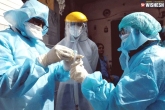 Coronavirus latest, Coronavirus, telangana continues to be impacted badly due to coronavirus, Coronavirus in telangana