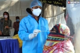 Coronavirus, Andhra Pradesh Coronavirus, 8110 new coronavirus cases reported in ap, Andhra pradesh coronavirus