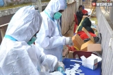 coronavirus deaths, coronavirus India news, indian coronavirus daily tally inches 3 5 lakhs, Indian coronavirus