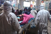 Coronavirus deaths, Coronavirus China, coronavirus deaths in china rises to 80, Rises