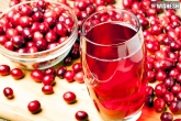 Cranberry juice may help in lowering risk of heart disease and diabetes, Cranberry juice may help in lowering risk of heart disease and diabetes, cranberry juice may protect against risk of heart stroke and diabetes, Heart disease