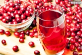 Cranberry juice could cut the risk of heart disease and diabetes, ways to reduce diabetes in natural way, cranberry juice may protect against risk of heart stroke and diabetes, Stroke
