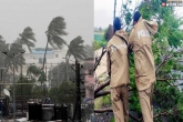 Cyclone Gulab loss, Cyclone Gulab news, cyclone gulab makes landfall heavy rains predicted, Disha
