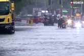 Cyclone Nivar loss, Tamil Nadu, cyclone nivar to make a landfall near puducherry at midnight, Chennai rains