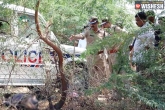 Telangana police, Telangana police, darga sheltered those 2 assailants, Terrorist attack