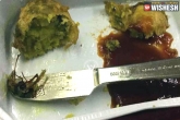 probe, meals, dead cockroach found inside air india meals, Meal