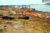 Coronavirus bodies in Ganga news, Coronavirus bodies in Ganga updates, shocking over 150 dead bodies of coronavirus patients dumped in ganga, Ganga river