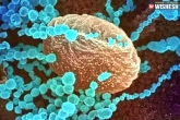 Delta Plus India news, Delta Plus variant, delta plus may defeat vaccines and antibodies warn experts, Delta